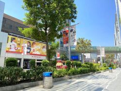 Orchard Emerald Centre (D9), Shop House #459037581